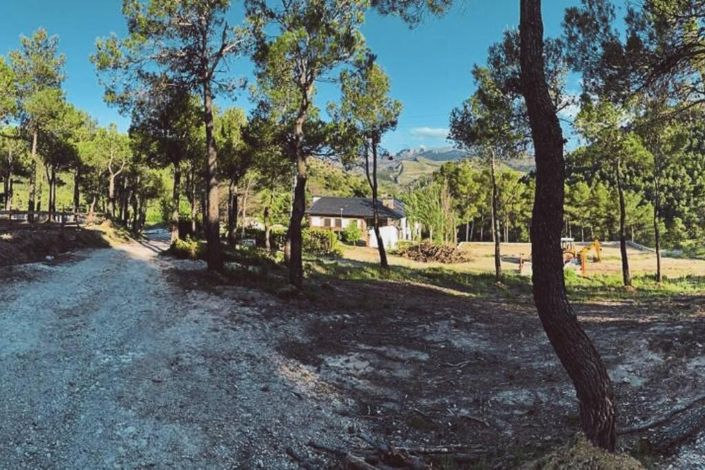 Mas Del Cel - Casa Rural Confrides Dış mekan fotoğraf